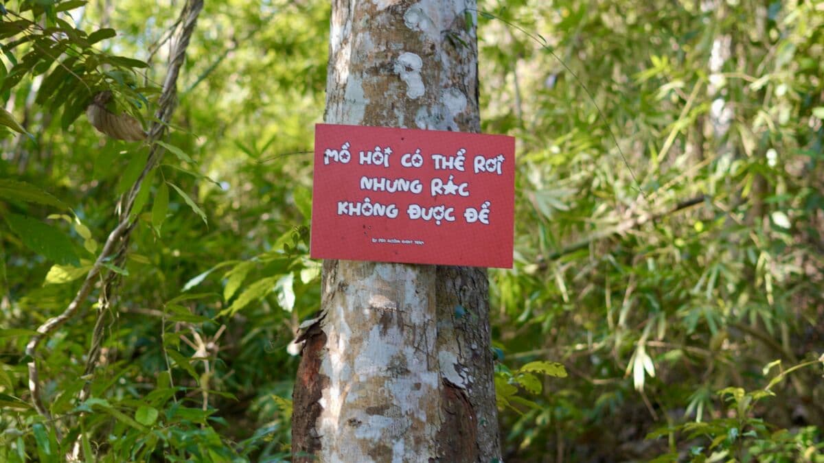 Trekking Núi Chứa Chan - Đệ Nhị Thiên Sơn 7