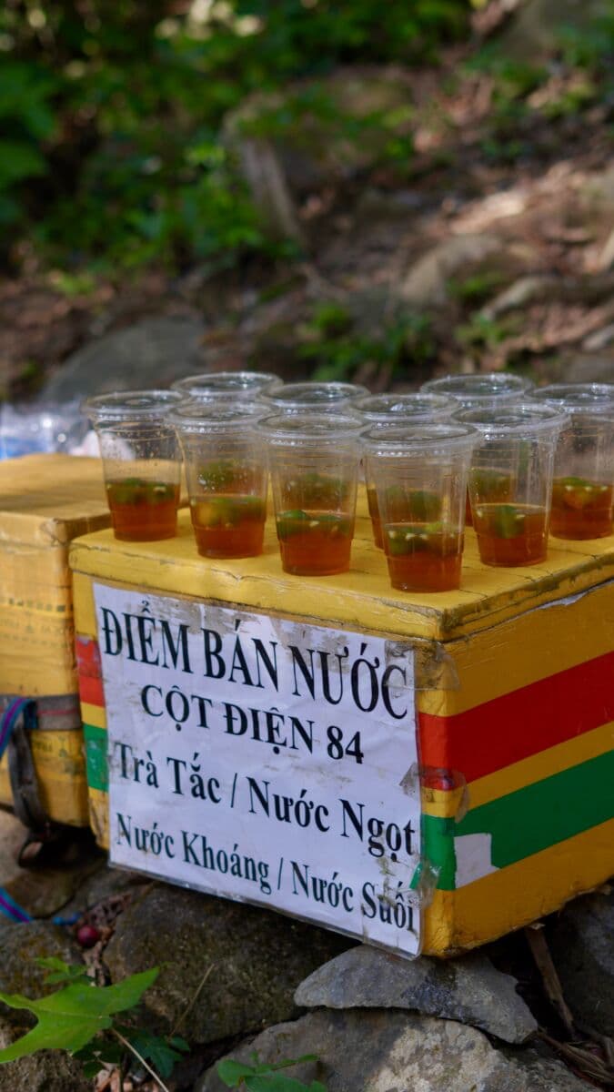 Trekking Núi Chứa Chan - Đệ Nhị Thiên Sơn 8