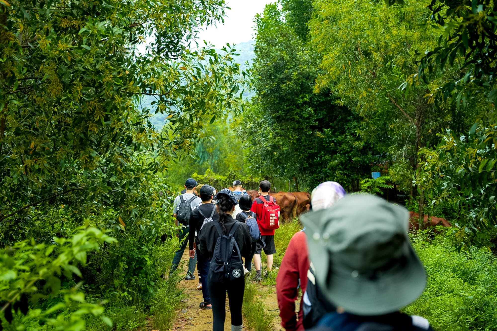 Conquer the Twin Peaks of Tóc Tiên - Thị Vải 3