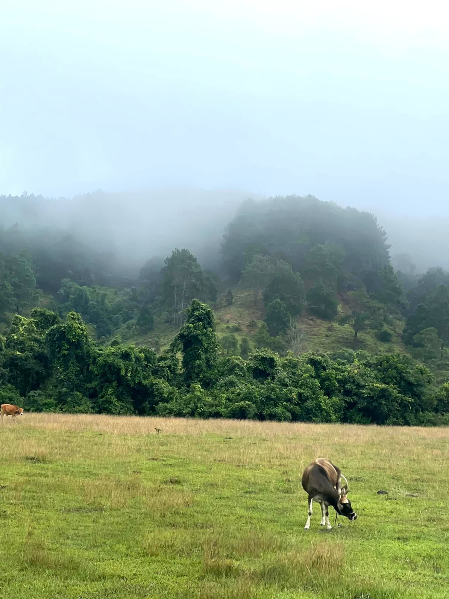 Trekking Tà Năng - Phan Dũng 8