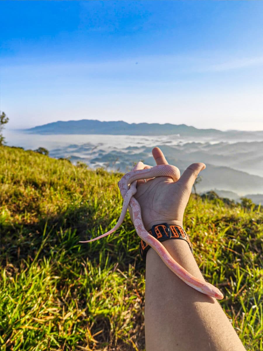 Hiking Đồi Bát Úp - Thác Liêng Ài 2