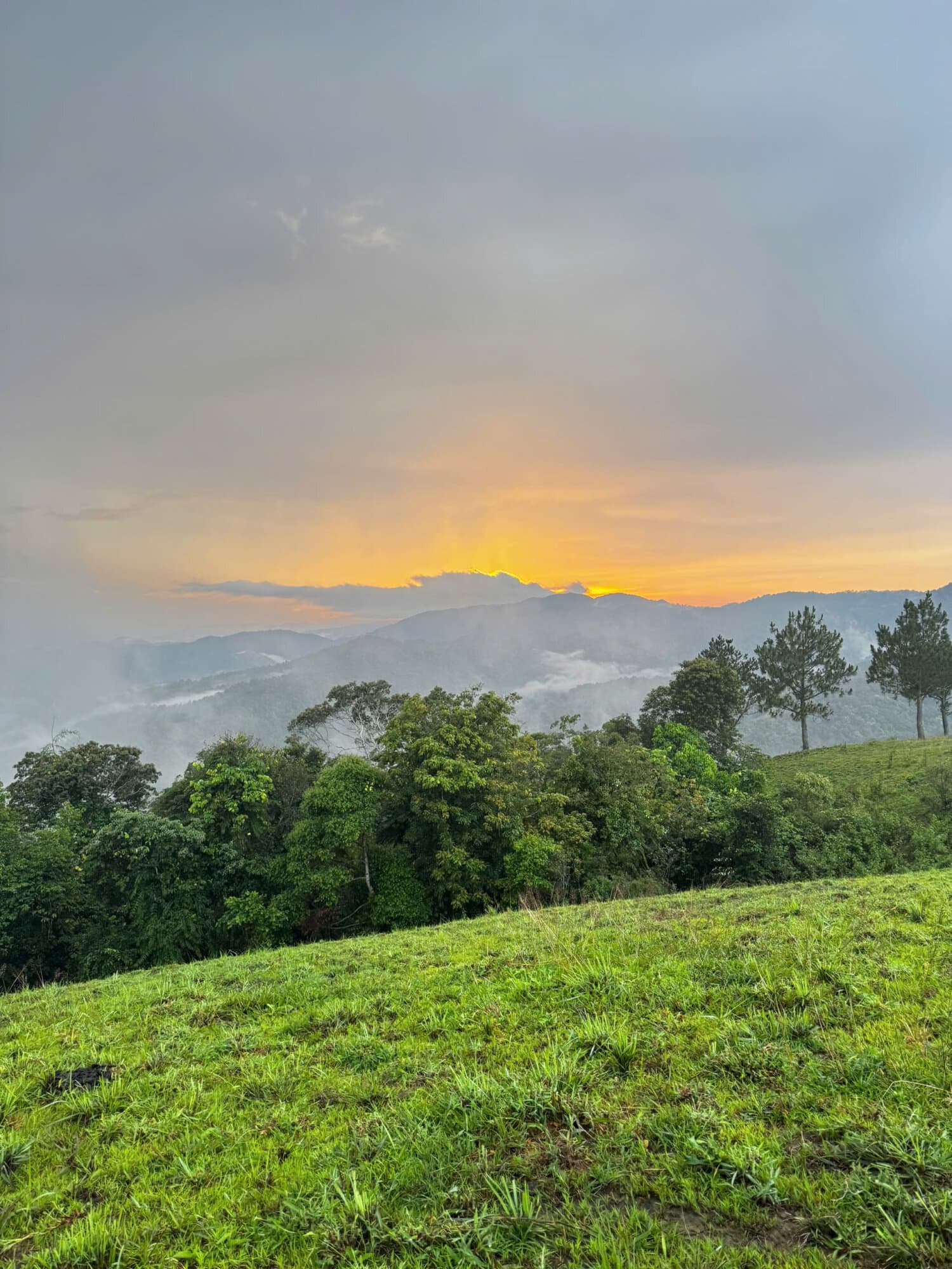 Trekking Tà Năng - Phan Dũng 2