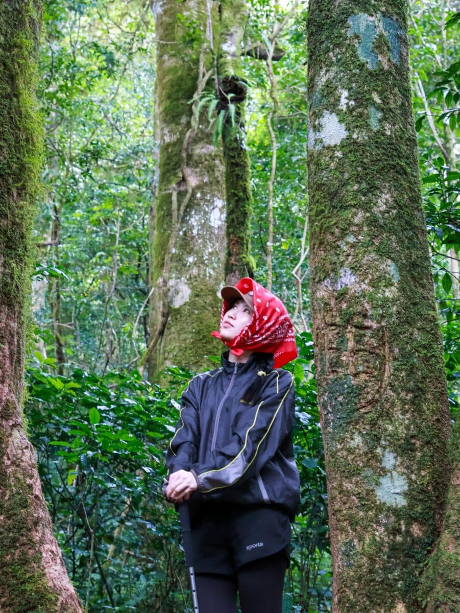 Chinh phục Đỉnh Langbiang 2167m - nóc nhà Đà Lạt 4